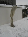 Winterschutz bei Trachycarpus fortunei - 2013 by BRUNELIK.AT