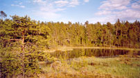 Umgebung von Inari und Inarisee (II) - 2002 by BRUNELIK.AT