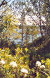 Umgebung von Inari und Inarisee (I) - 2002 by BRUNELIK.AT