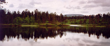 Lemmenjoki-Nationalpark (III) - 2002 by BRUNELIK.AT