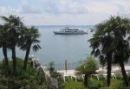 Exoten in Europa: 'Meersburg' - 2009 by BRUNELIK.AT